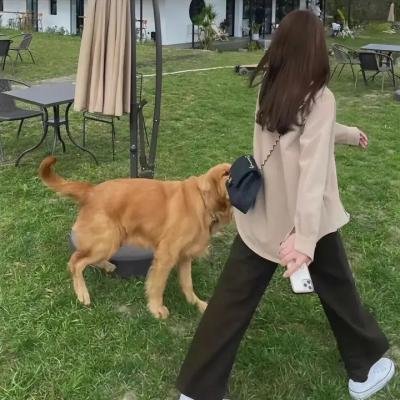 不好的好人