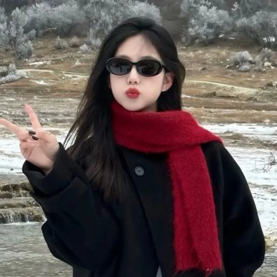 叶问2:宗师传奇